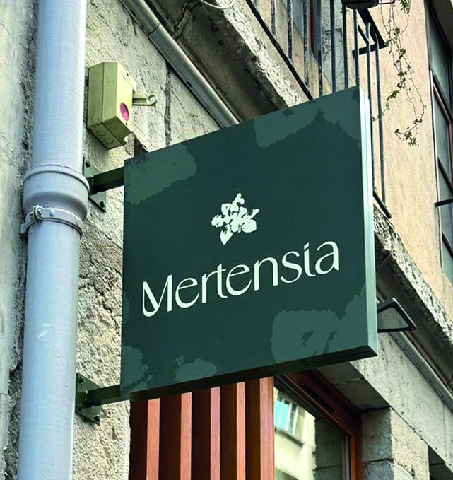 Caisson drapeau vert Mertensia sur façade ancienne